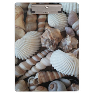 Sunny Seashells, Clipboard, Summer Beach, Nature Clipboard