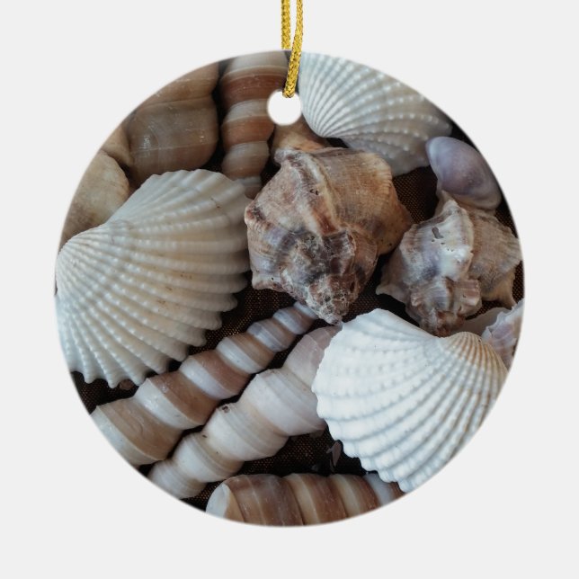 Sunny Seashells Collection Nature Summer Ceramic Tree Decoration (Front)