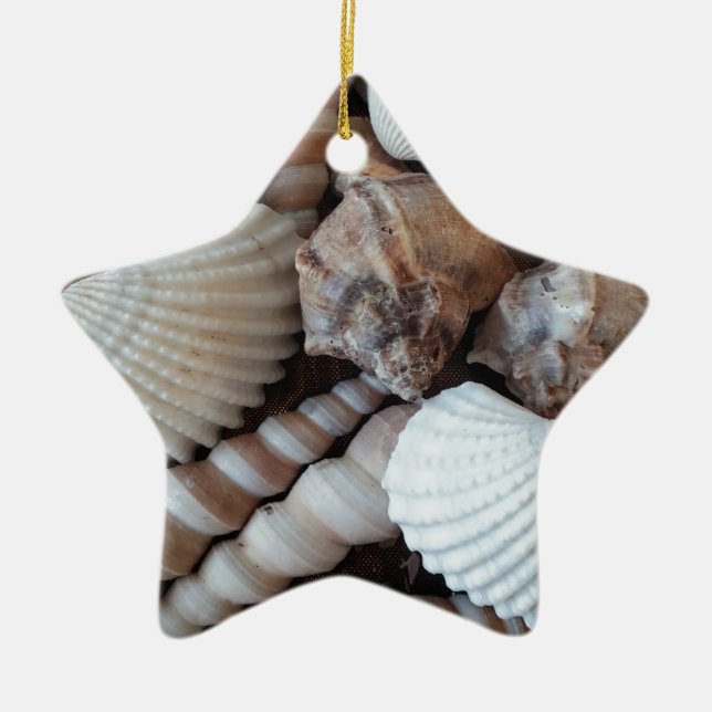 Sunny Seashells Collection Nature Summer Ceramic Tree Decoration (Front)
