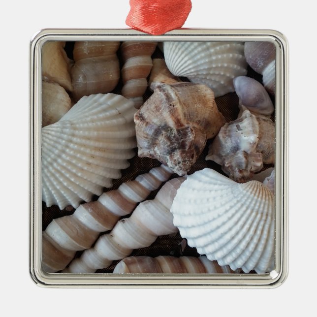 Sunny Seashells Collection Nature Summer Metal Tree Decoration (Front)