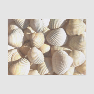 Sunny Seashells Collection, Summer Beach, Tissue Paper
