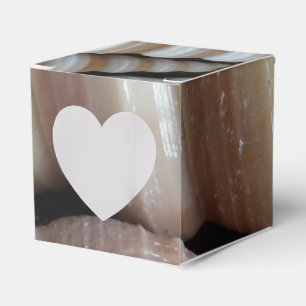 Sunny Seashells Favour Box, Summer Beach Wedding Box