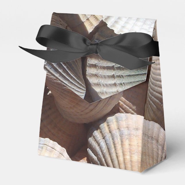 Sunny Seashells Favour Box, Summer Beach Wedding Box (Front Side)