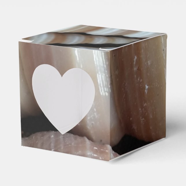 Sunny Seashells Favour Box, Summer Beach Wedding Favour Box (Front Side)