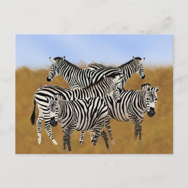Sunny Serengeti Zebra | African Wildlife Safari Postcard (Front)