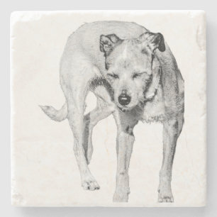 Sunny Squint Stone Coaster