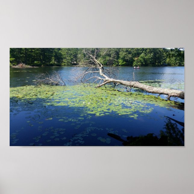 sunny summer poster (Front)