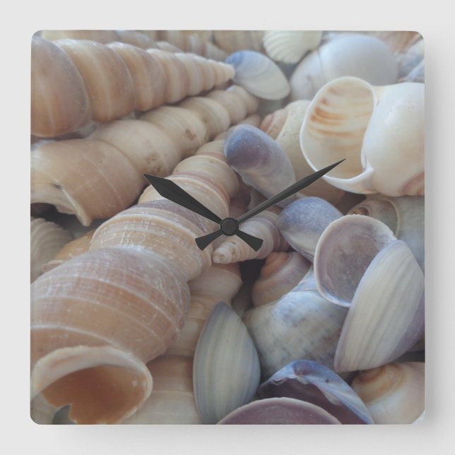 Sunny Summer Sea Shells. Romantic, Exotic Tropical Square Wall Clock (Front)