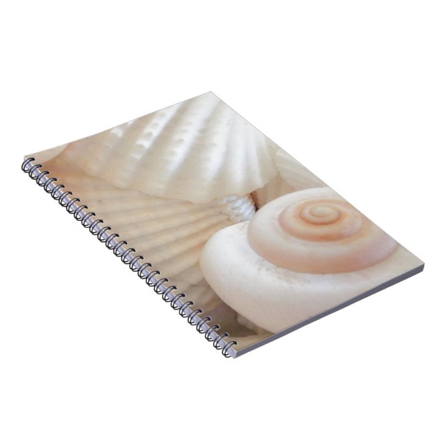Sunny Summer Seashells Collection Notebook (Right Side)