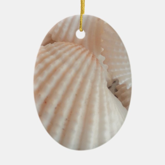 Sunny Summer Seashells. Romantic, Exotic Tropical Ceramic Tree Decoration (Front)