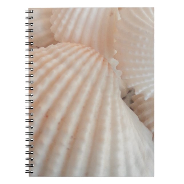 Sunny Summer Seashells. Romantic, Exotic Tropical Spiral Notebook (Front)