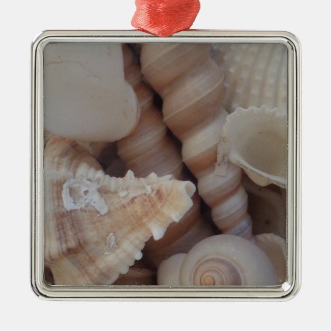 Sunny Summer Seashells, Sea Shell Beach Love Metal Tree Decoration (Front)