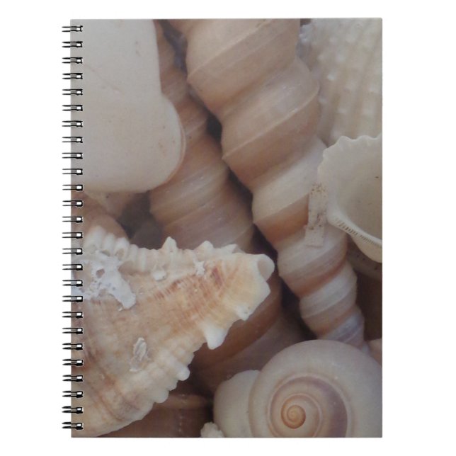 Sunny Summer Seashells, Sea Shell Beach Love Notebook (Front)