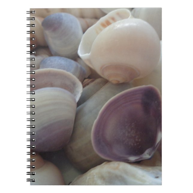 Sunny Summer Seashells, Sea Shell Beach Ocean Spiral Notebook (Front)