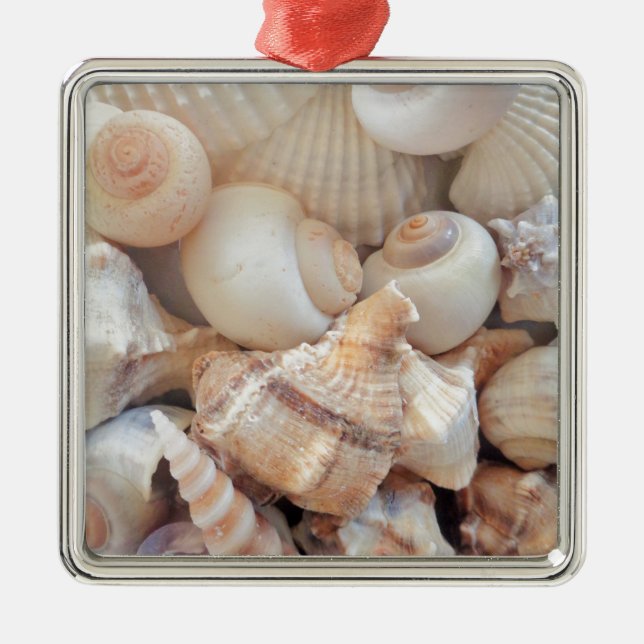 Sunny Summer Seashells, Sea Shells Beach Love Metal Tree Decoration (Front)