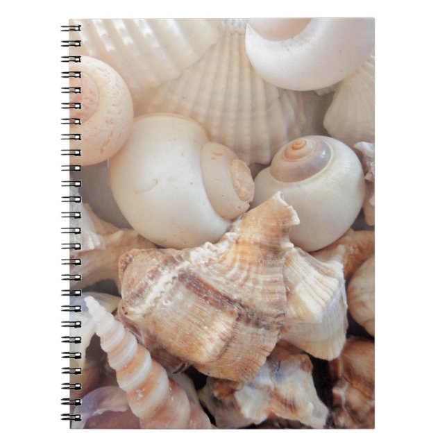 Sunny Summer Seashells, Sea Shells Beach Love Notebook (Front)