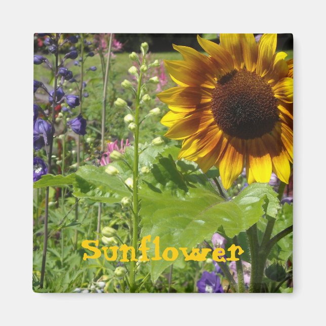 Sunny  Sunflower Magnet (Front)