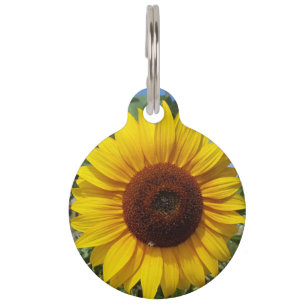Sunny Sunflower Pet Tag