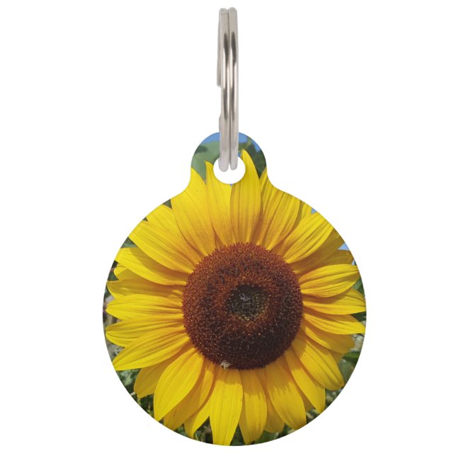 Sunny Sunflower Pet Tag (Front)