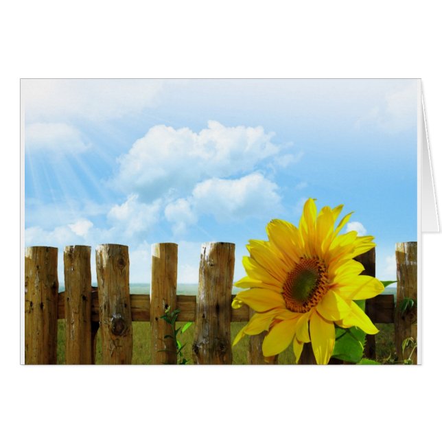 Sunny Sunflowers (Front Horizontal)