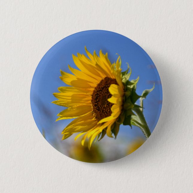 Sunny Sunflowers 6 Cm Round Badge (Front)