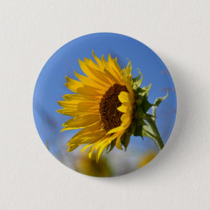 Sunny Sunflowers 6 Cm Round Badge