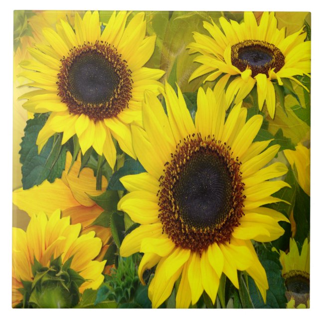 Sunny Sunflowers Tile (Front)