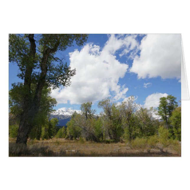 Sunny View of Grand Teton Mountain (Front Horizontal)