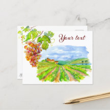 Sunny Vineyard. Watercolor Art  Postcard