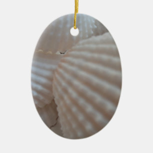 Sunny White Seashells, Sea Shell Beach Summer Love Ceramic Tree Decoration
