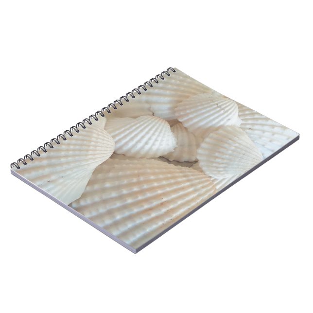 Sunny White Seashells, Summer Beach Exotic Spiral Notebook (Left Side)