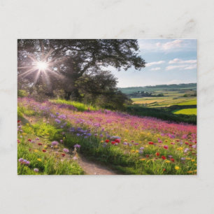 Sunny Wildflowers in the Country Holiday Postcard
