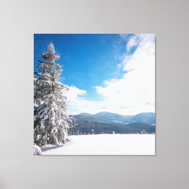 Sunny Winter Landscape of Snowdrifts Canvas Print (Front)