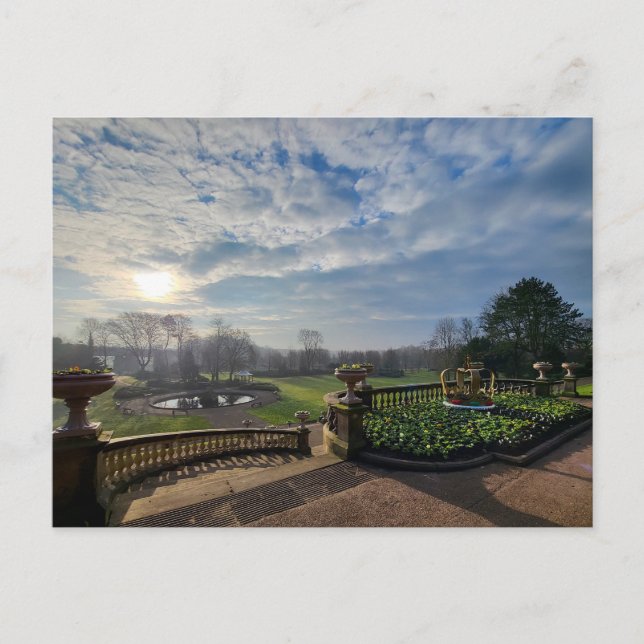 Sunny Winters Morning  Postcard (Front)