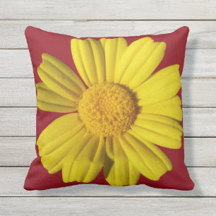 Sunny yellow chamomile outdoor cushion