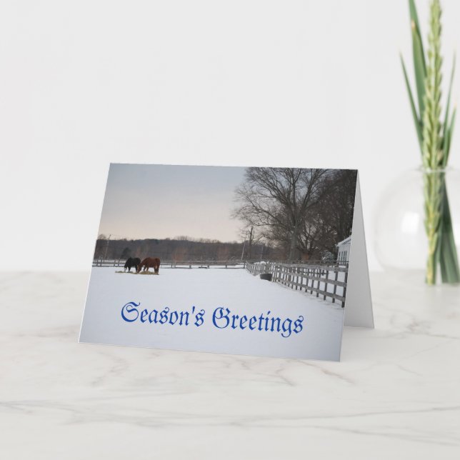 Sunnyside Holiday Card (Front)