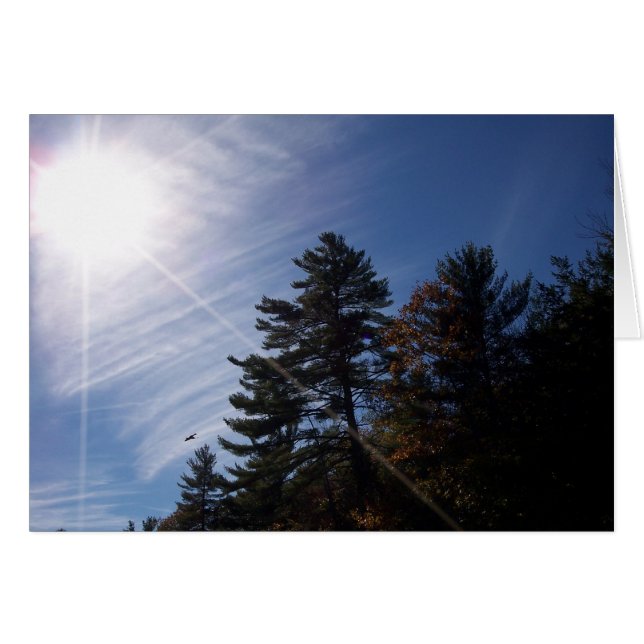 Sunrays Card (Front Horizontal)