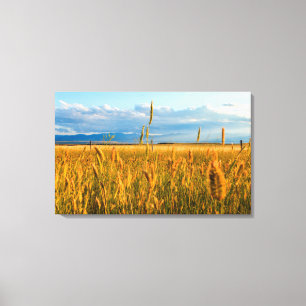 Sunrays over field of wheat with mountains canvas print