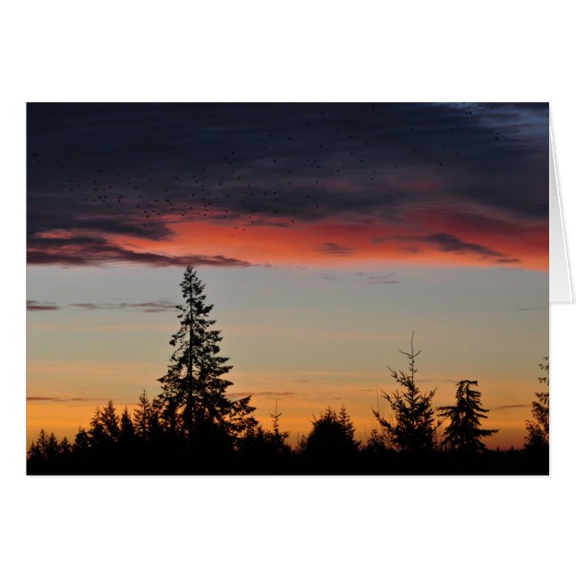 Sunrise and Trees (Front Horizontal)