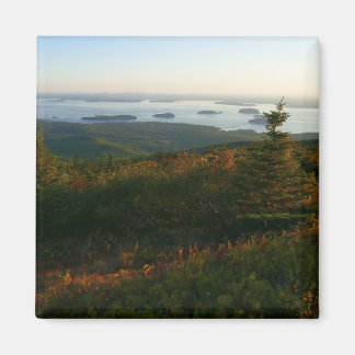 Sunrise at Cadillac Mountain I Magnet