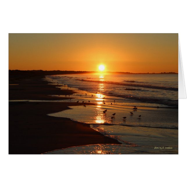 Sunrise at Horseneck Beach (Front Horizontal)