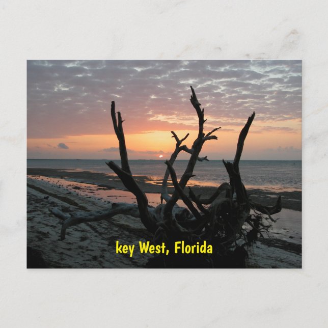 Sunrise at Key West Florida Postcard (Front)