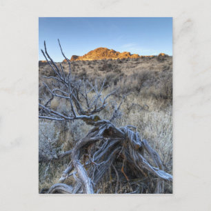 Sunrise at Squaw Creek, Owyhee County, ID Postcard
