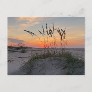 Sunrise at the beach - Coastal Island Living Postcard