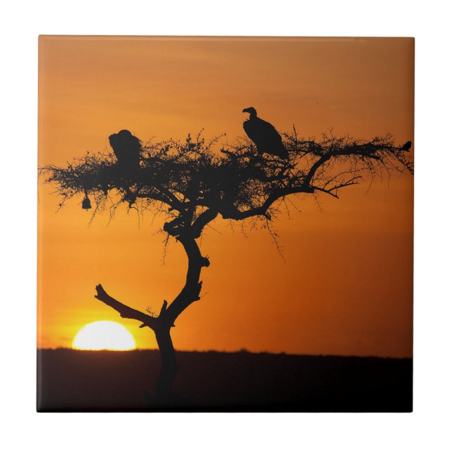 Sunrise at the Masai Mara, Kenya Tile (Front)