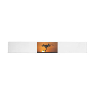 Sunrise at the Masai Mara, Kenya Wraparound Address Label