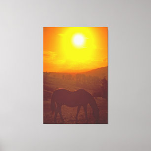 SUNRISE BEAUTY 40x60 Canvas Print