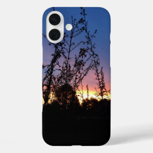 Sunrise Between Wildflower Silhouette Stalks iPhone 16 Plus Case