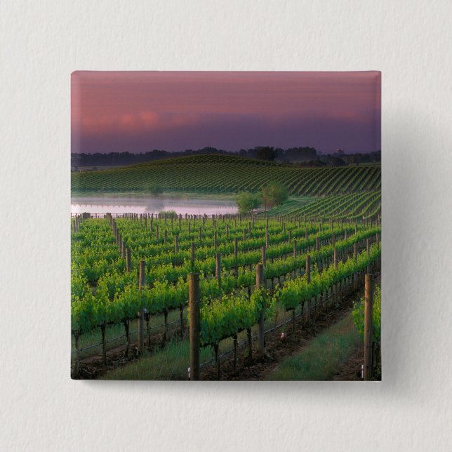 Sunrise colour in the distant fog behind 15 cm square badge (Front)