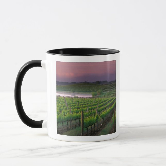 Sunrise colour in the distant fog behind mug (Left)